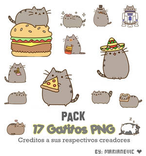 Pack 17 Gatitos PNG