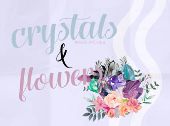 Crystals + Flowers PNG PACK