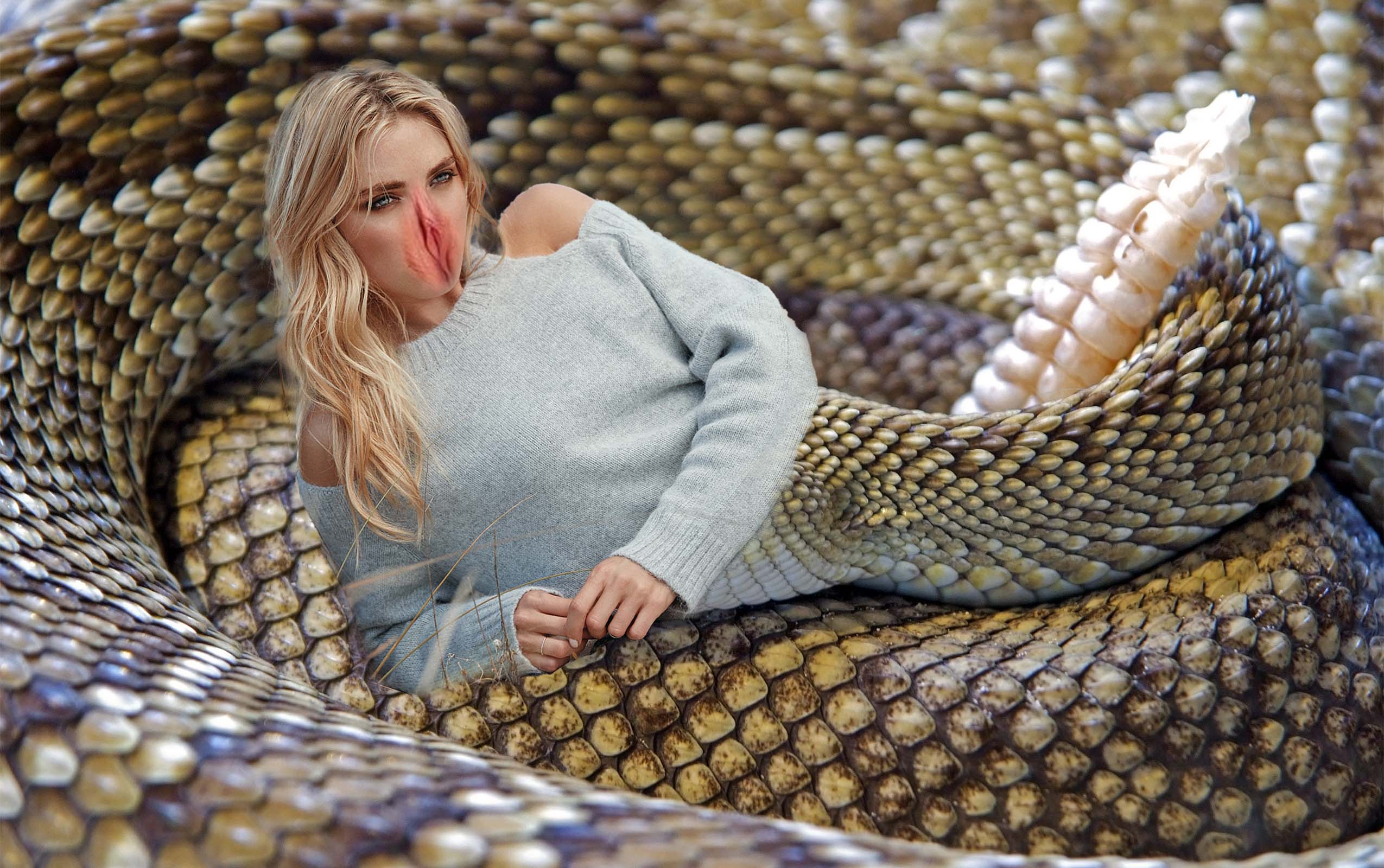 Pussy face Snake By FeralManipulation On DeviantArt
