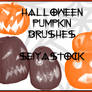 Halloween Pumpkin Brushes