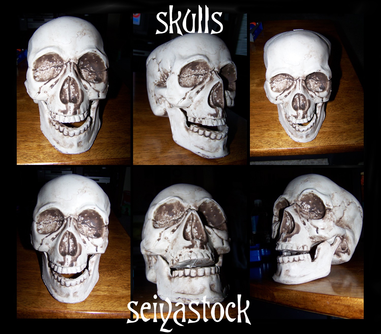 Skull Stock