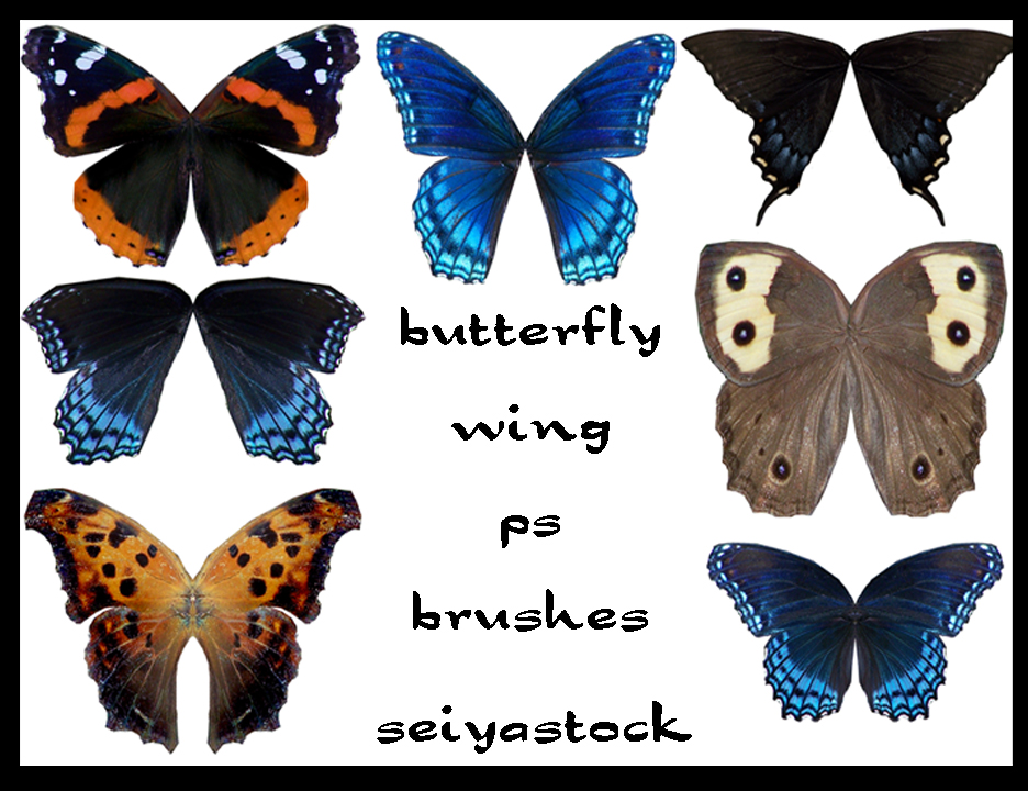 butterfly-wing ps brushes