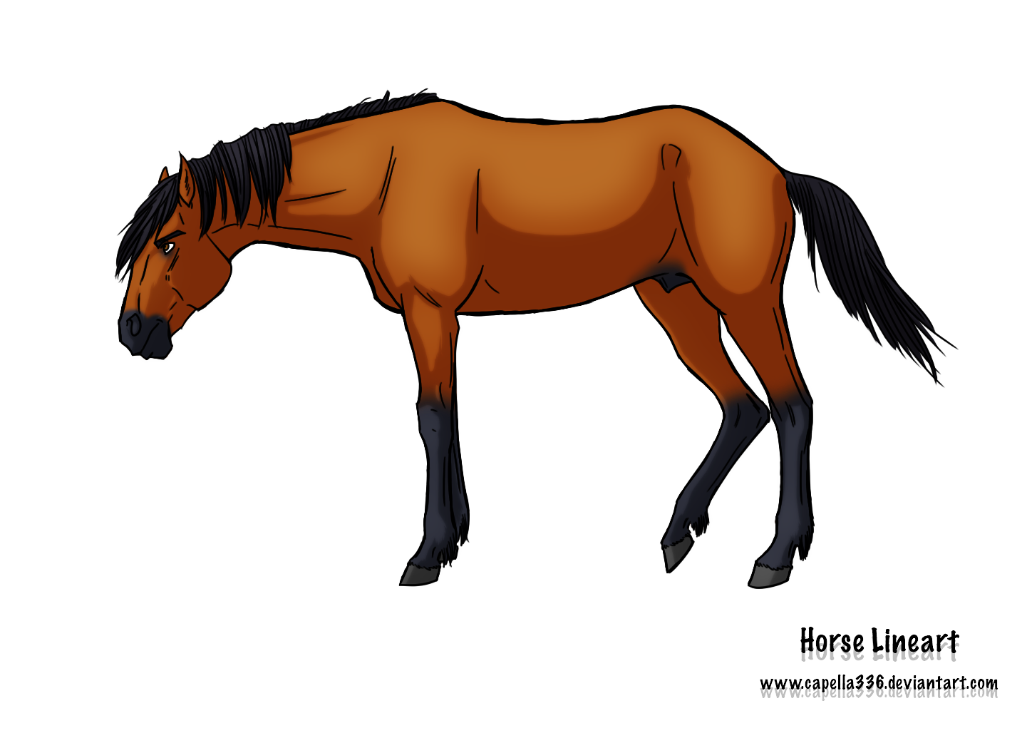 FREE Horse Lineart PSD: Stallion and Mare