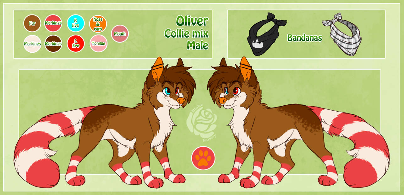|| Oliver Reference Sheet by Blake-Rosey on DeviantArt