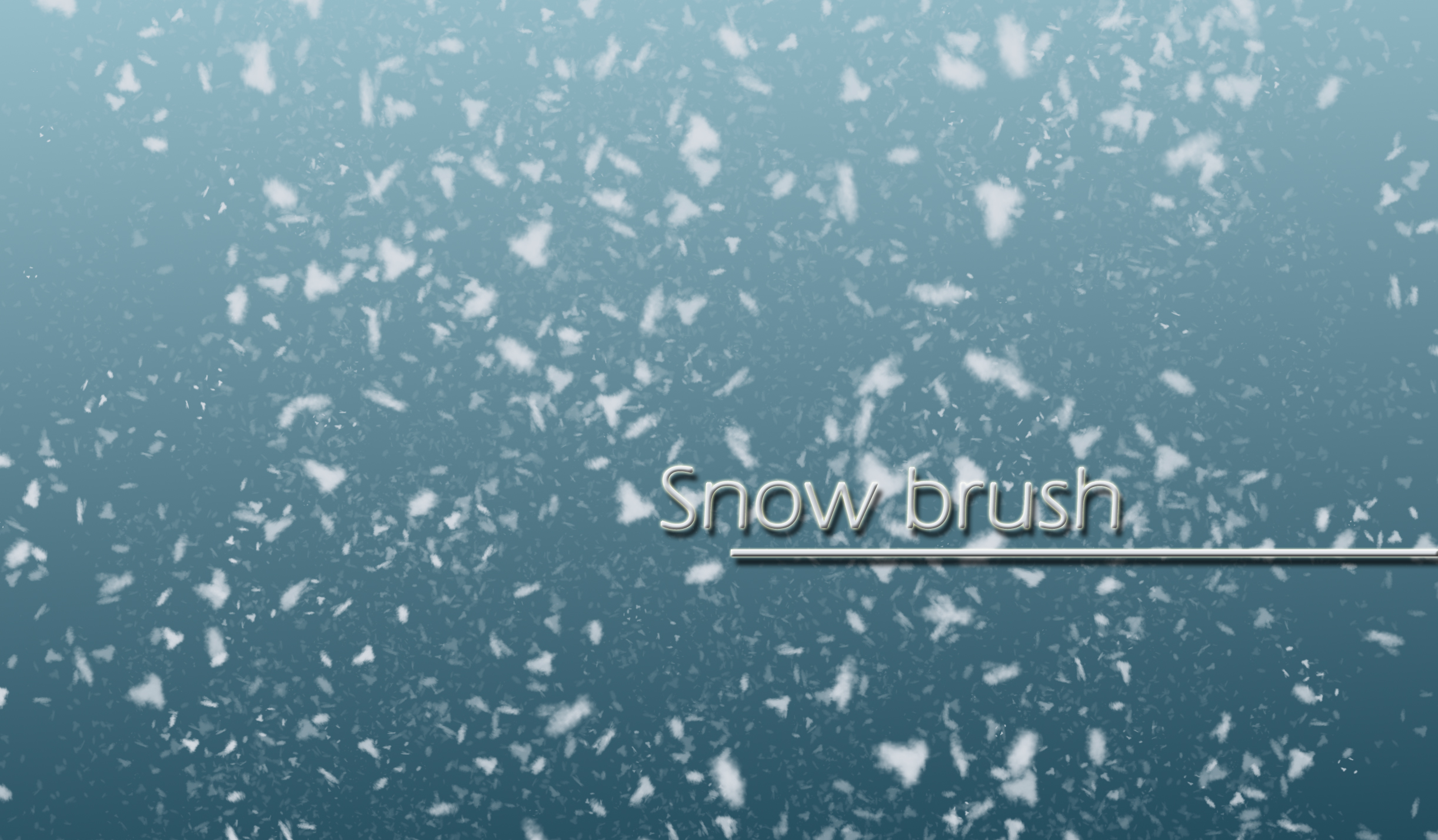 Snow brush