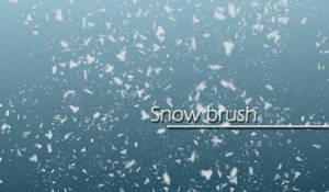 Snow brush