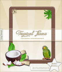 Tropical Frame