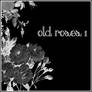 Old Roses 1