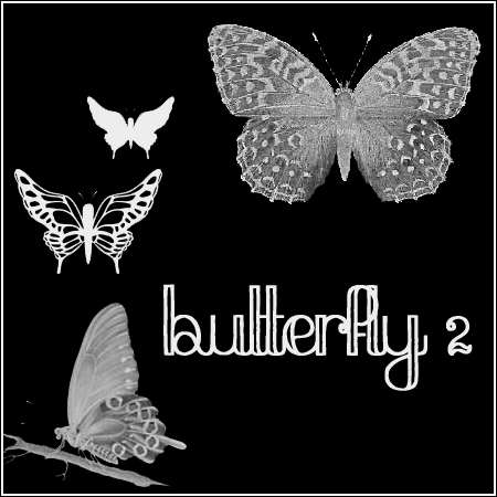 Butterflies 2