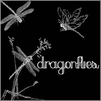 Dragonflies