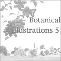 Botanical Illustrations 5