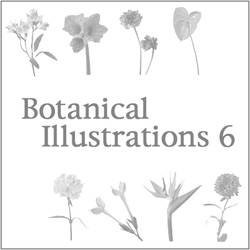 Botanical Illustrations 6