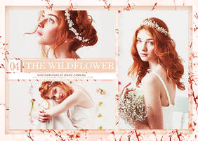 The Wildflower (Photopack)