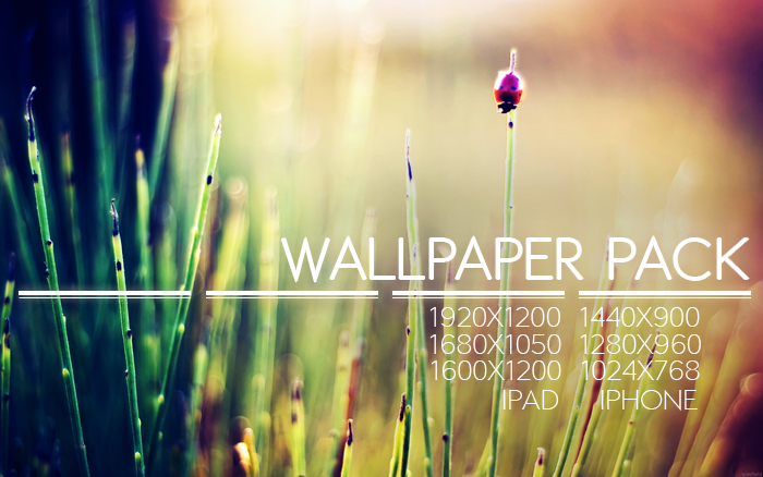 Never Look Back WP Pack