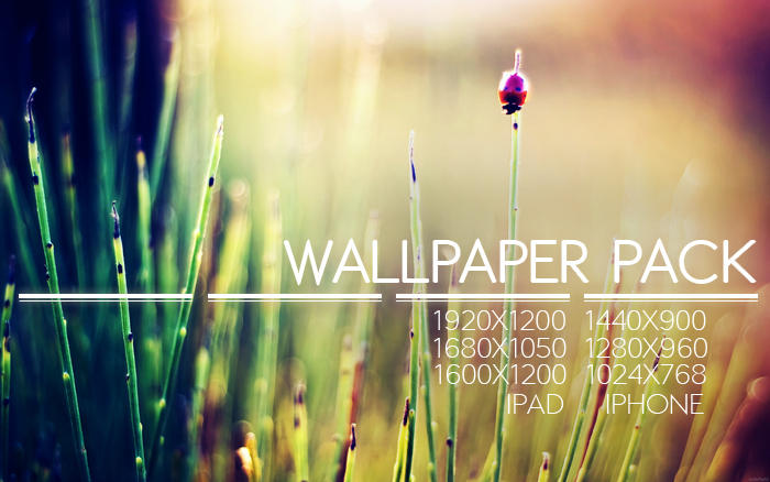 Never Look Back Wp Pack By Solefield On Deviantart