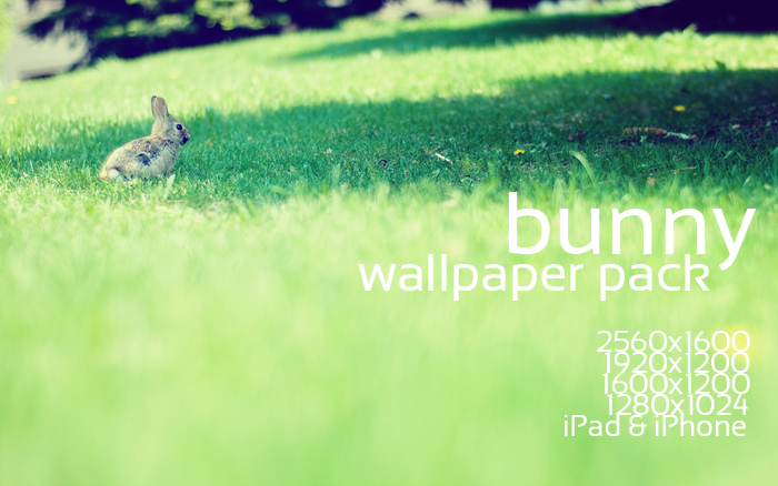 Bunny Wallpaper Pack