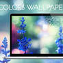 Colors Wallpaper Pack