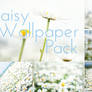 Daisy Wallpaper Pack