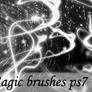 ms113-magic brushes ps7