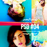 PSD #04