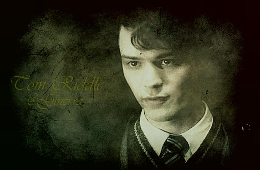 Tom Riddle x Reader Part 3 by 123Ekaterina on DeviantArt