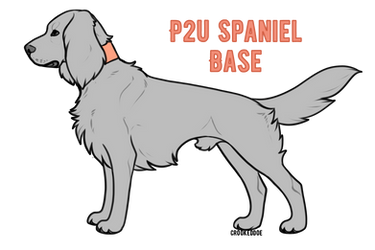 P2U | Spaniel Base