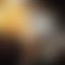 WWZ - The Battle of Yonkers -