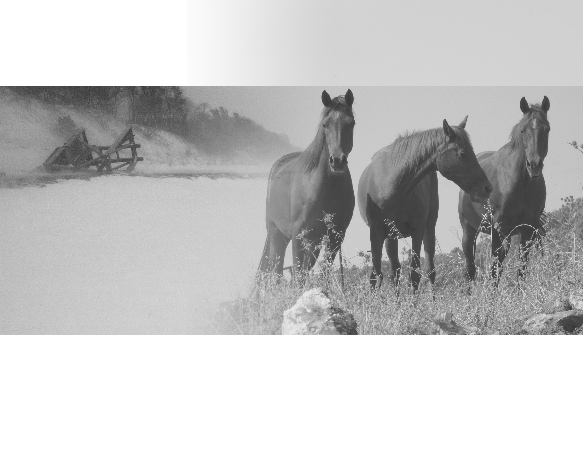 Backround Layer 2 by jamesm80 on DeviantArt