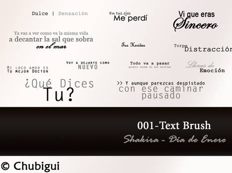 001 - text brushes - Shakira