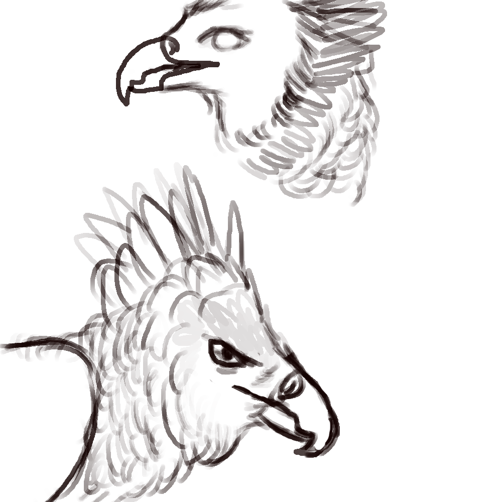 Harpy eagle profiles by Cyacol on DeviantArt