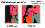 Warhol Sachiko 1977 by v4r4n