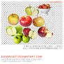 110424_apple17_by_eleven