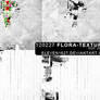 120227_floratexture6_by_eleven