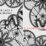 120418_Lace6_by_eleven