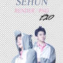 EXO - Sehun // Render // Pack PNG
