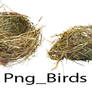 Png_ Birds Nest Pack