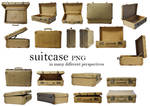 suitcase_PNG  in different perspectives