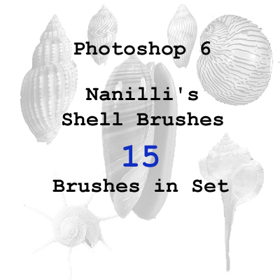 Nanilli Shell Brushes