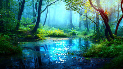 Enchanted Forest Reflection