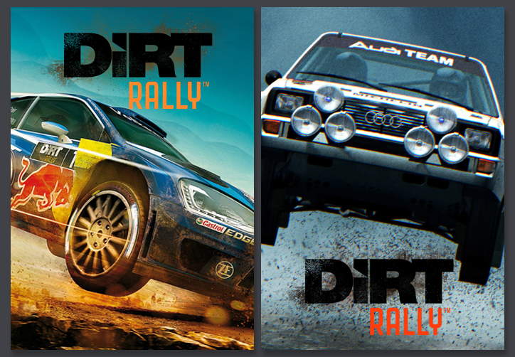 Dirt Rally - Steam Vertical Grid by BrokenNoah on DeviantArt