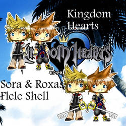 KH2 - Sora-Roxas Flele Shell