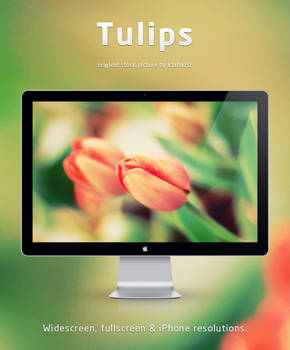 Tulips wallpaper