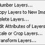 Layers Copy To New
