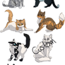 OPEN kitten point adoptables batch 2