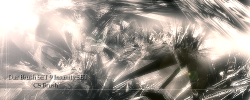 Dac Brush Set 9- INSANITY by DacManiac