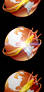 ViOrb Firefox 1.4