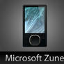 Microsoft Zune with PSD