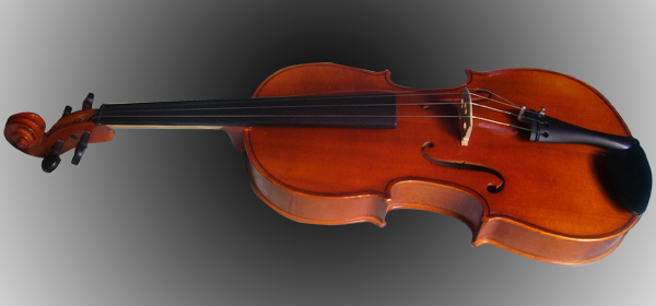 Synthexstock Viola 4