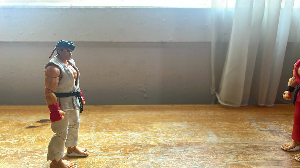 Ryu Vs. Ken (Stop-Motion Test) by Aijzeni on DeviantArt