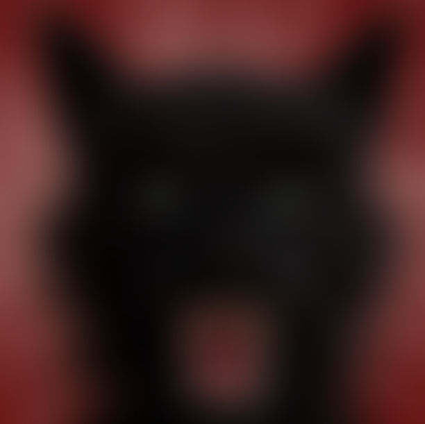 The Moon in Her Eyes Collection 2